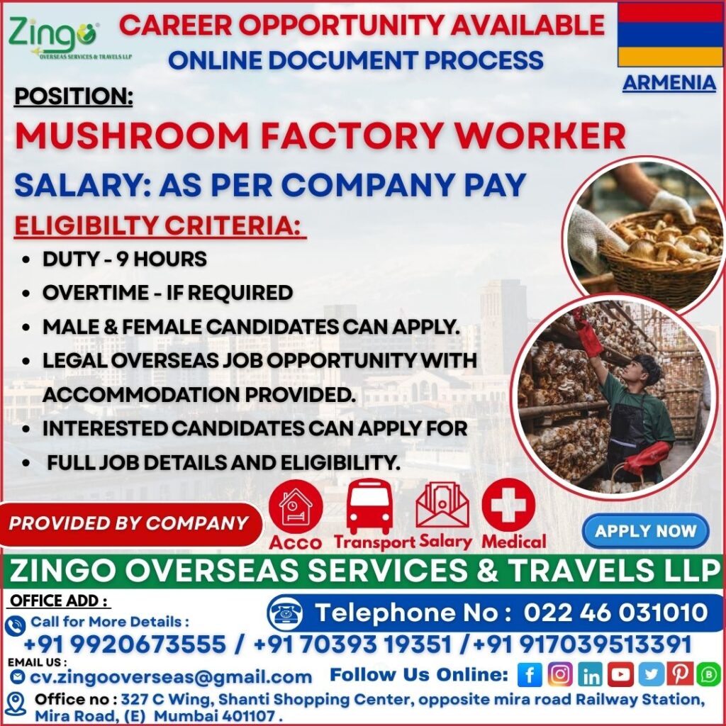 JOB VACANCY FOR ARMENIA